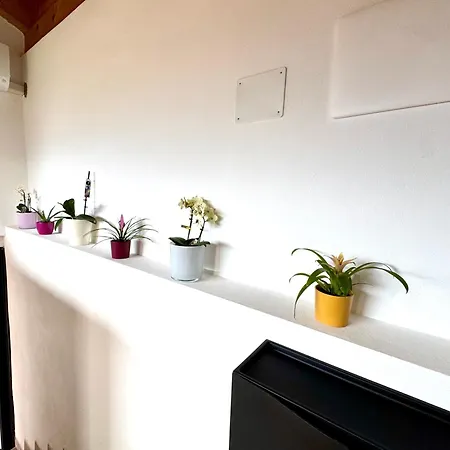 Appartement Panoramic Hill House - With Free Parking
